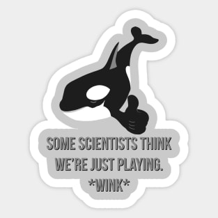 Sly Orca, Some Scientists Think We're Just Playing *Wink* Sticker